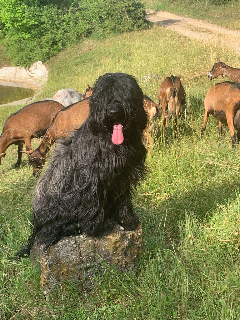 Rioka du Jardin aux Eglantines